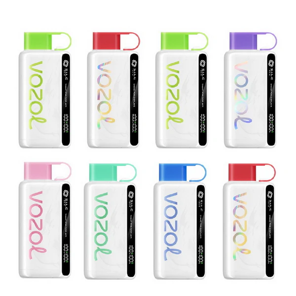 Vozol Star 12000 Wiederaufladbares Einweg Kit (LED-Anzeige) | Vapormo.de vapormo.de Vozol Star 12000 Wiederaufladbares Einweg Kit (LED-Anzeige) | Vapormo.de vapormo.de