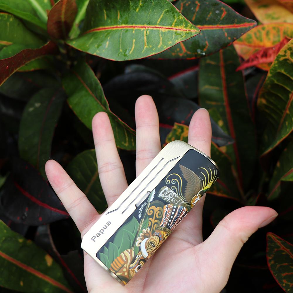 Hippovape Papua 100W Box MOD Akkuträger