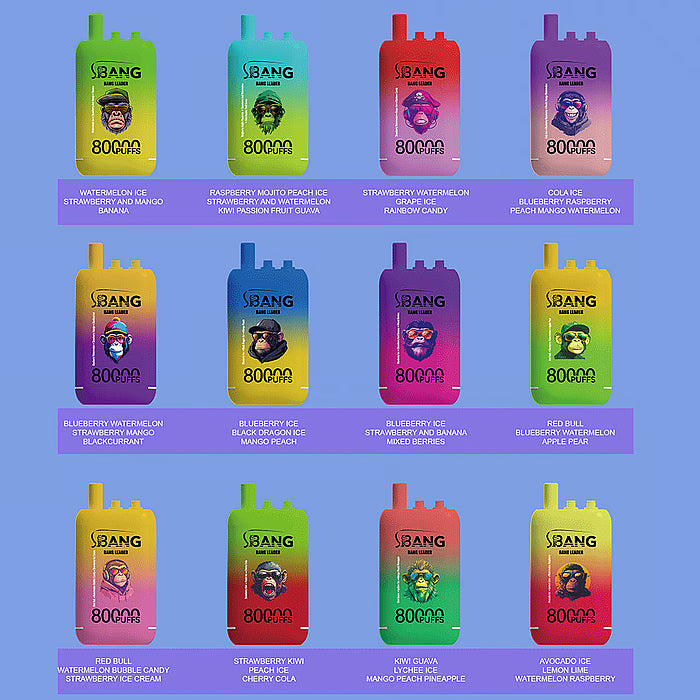 Bang Leader (Bang Legend) 80000 Puff 3-in-1 Flavor 80K Einweg Kit