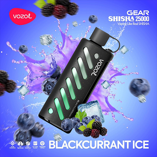 Vozol GEAR SHISHA 25000 Puffs Einweg Kit online kaufen | vapormo.de Vozol GEAR SHISHA 25000 Puffs Einweg Kit online kaufen | vapormo.de