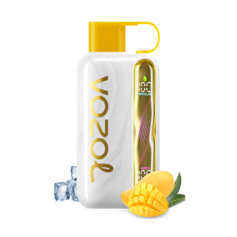 Vozol Star 40000 Puffs Wiederaufladbares Einweg Kit 20ml (40K Puffs) - 💥 BLACK Friday WEEK - Nehme 4 Zahle NUR 3! + Ab einem Einkauf von 100€ 1 Mystery Vapes Gratis + Ab einem Einkauf von 150€ 2 Mystery Vapes Gratis 💥