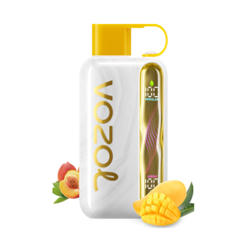 Vozol Star 40000 Puffs Wiederaufladbares Einweg Kit 20ml (40K Puffs) - 💥 BLACK Friday WEEK - Nehme 4 Zahle NUR 3! + Ab einem Einkauf von 100€ 1 Mystery Vapes Gratis + Ab einem Einkauf von 150€ 2 Mystery Vapes Gratis 💥