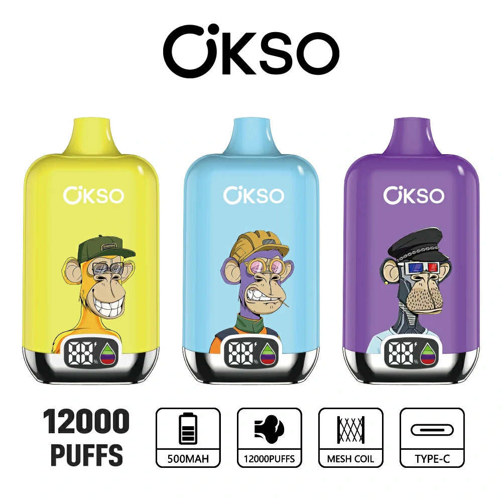 OKSO Digital Box 12000 Puffs Einweg Kit