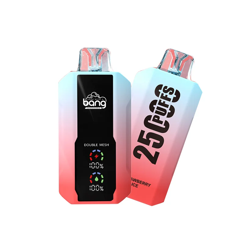 Bang 25000 Puffs Wiederaufladbares Einweg Kit (LED Display) kaufen online Deutschland | vapormo.de Bang 25000 Puffs Wiederaufladbares Einweg Kit (LED Display) kaufen online Deutschland | vapormo.de