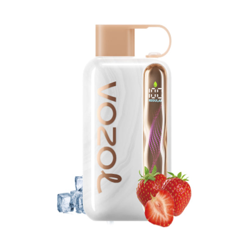 Vozol Star 40000 Puffs Wiederaufladbares Einweg Kit 20ml (40K Puffs) - 💥 BLACK Friday WEEK - Nehme 4 Zahle NUR 3! + Ab einem Einkauf von 100€ 1 Mystery Vapes Gratis + Ab einem Einkauf von 150€ 2 Mystery Vapes Gratis 💥