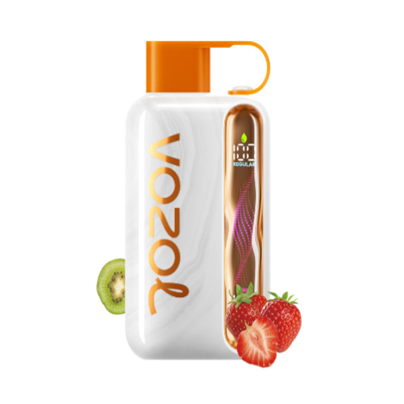 Vozol Star 40000 Puffs Wiederaufladbares Einweg Kit 20ml (40K Puffs) - 💥 BLACK Friday WEEK - Nehme 4 Zahle NUR 3! + Ab einem Einkauf von 100€ 1 Mystery Vapes Gratis + Ab einem Einkauf von 150€ 2 Mystery Vapes Gratis 💥