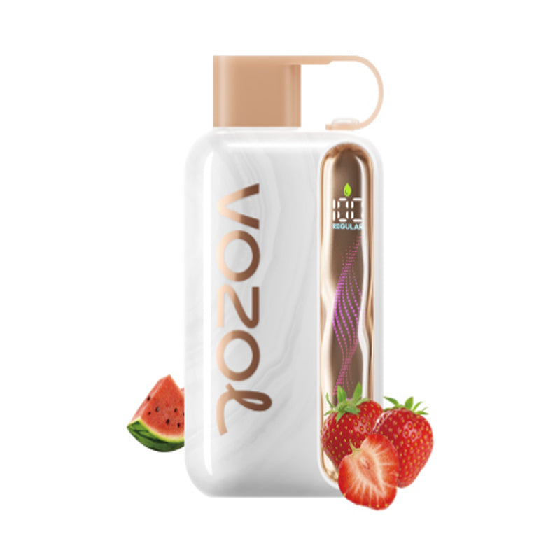 Vozol Star 40000 Puffs Wiederaufladbares Einweg Kit 20ml (40K Puffs) - 💥 BLACK Friday WEEK - Nehme 4 Zahle NUR 3! + Ab einem Einkauf von 100€ 1 Mystery Vapes Gratis + Ab einem Einkauf von 150€ 2 Mystery Vapes Gratis 💥