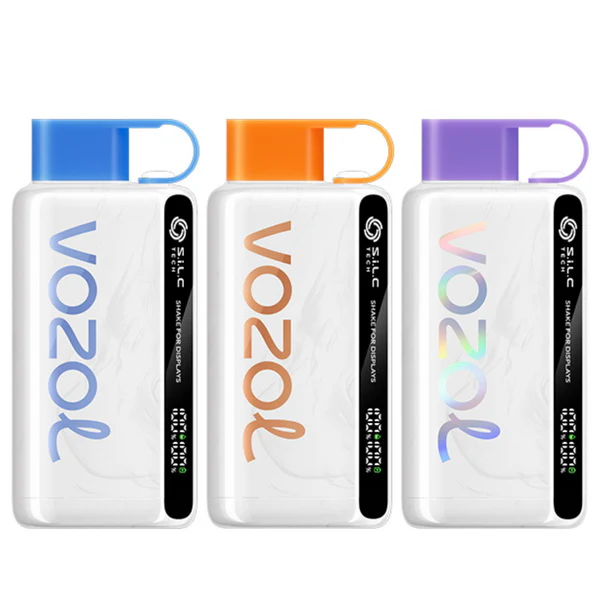 Vozol Star 12000 Wiederaufladbares Einweg Kit (LED-Anzeige) | Vapormo.de vapormo.de Vozol Star 12000 Wiederaufladbares Einweg Kit (LED-Anzeige) | Vapormo.de vapormo.de