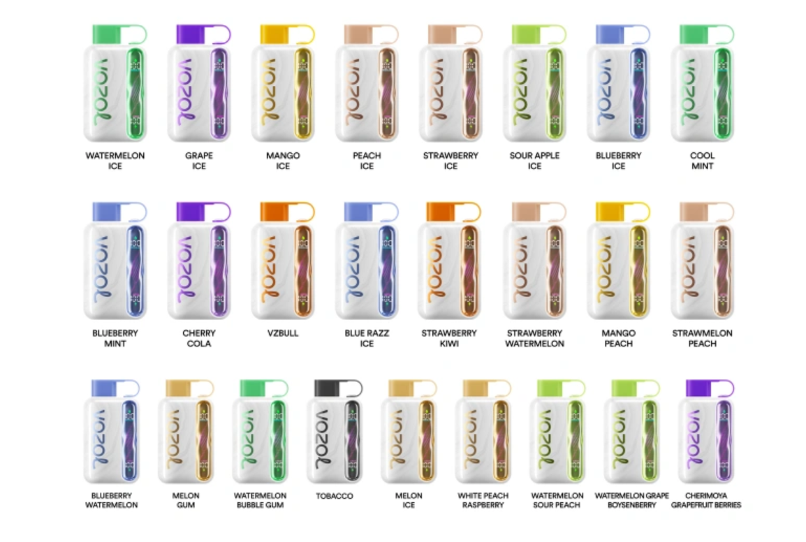 Vozol Star 40000 Puffs Wiederaufladbares Einweg Kit 20ml (40000 Puffs)