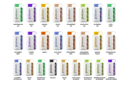 Vozol Star 40000 Puffs Wiederaufladbares Einweg Kit 20ml (40000 Puffs)